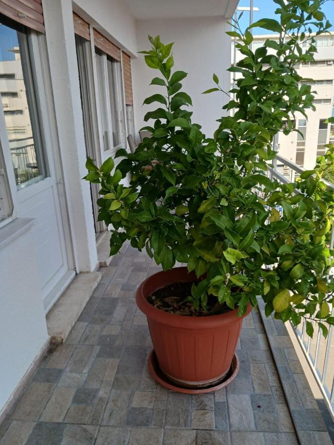 Room With Private Toilet And Balcony In City Center In Shared Apartment Split Zewnętrze zdjęcie